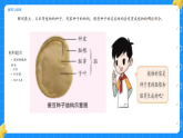 2.播种与萌发 小学科学 大象版新教材 三年级下册 课件