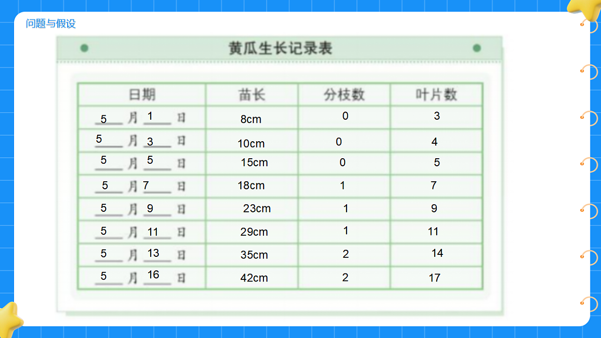 17767364第4页