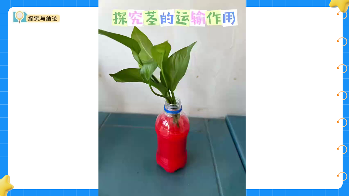 17767364第6页