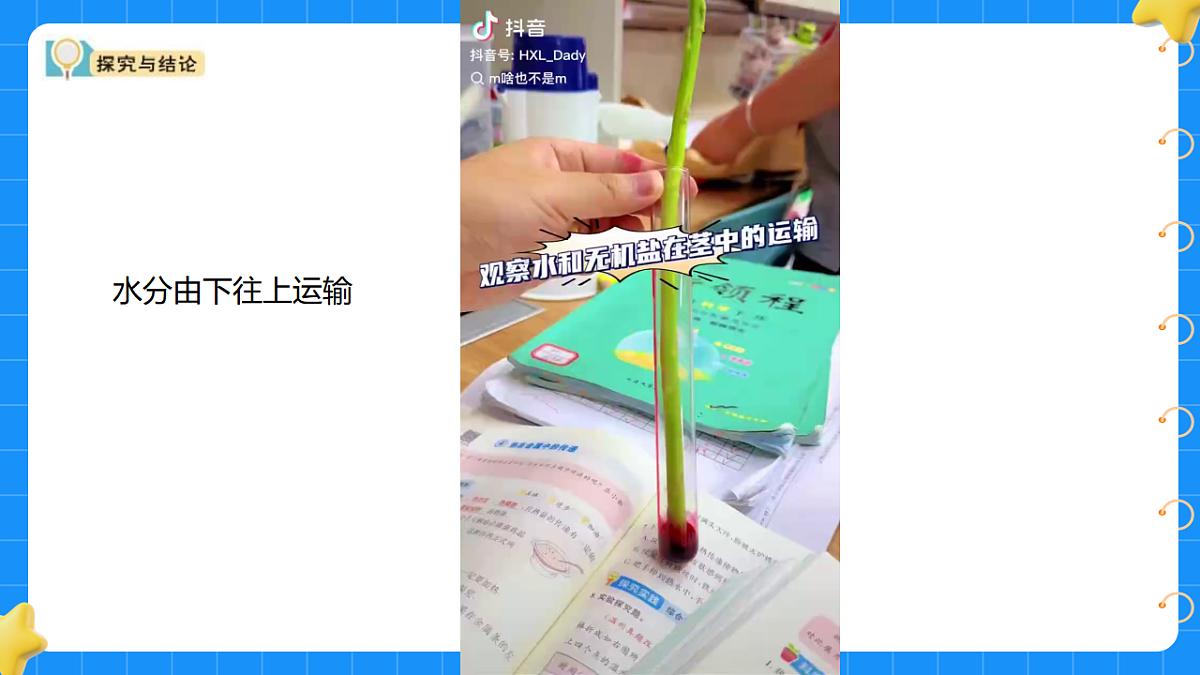 17767364第7页