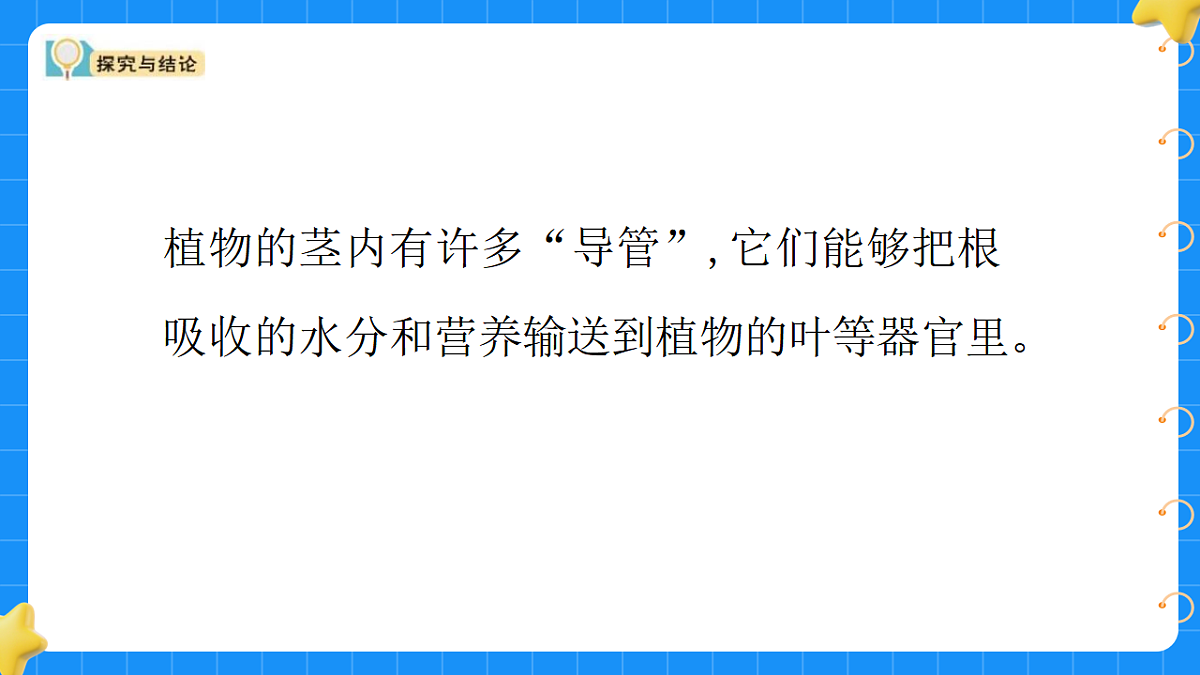 17767364第8页