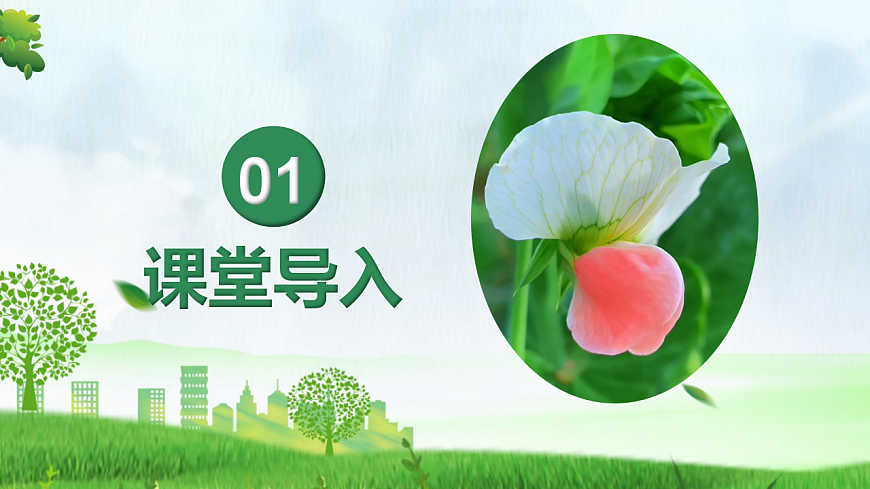 6.2.3+基因的显性和隐性（教学课件）生物新教材人教版八年级下册第4页