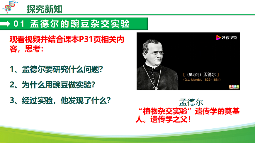6.2.3+基因的显性和隐性（教学课件）生物新教材人教版八年级下册第7页