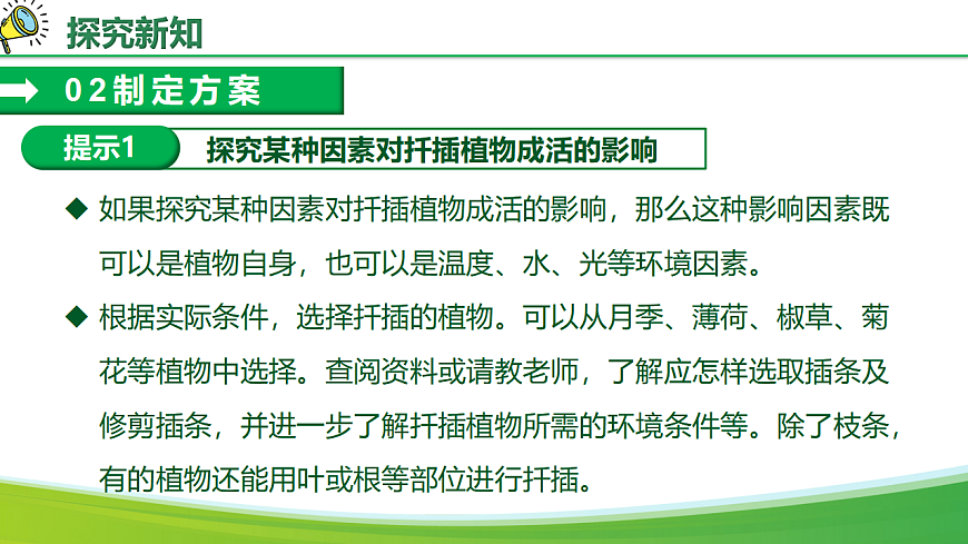 综合实践项目+植物的扦插或嫁接（教学课件）生物人教版2024八年级下册第8页