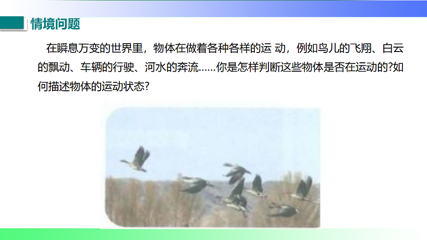 17767708第3页