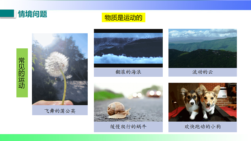 17767708第4页