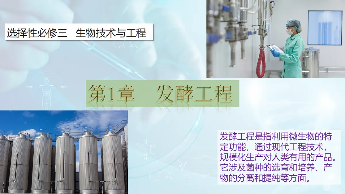 17767807第1页