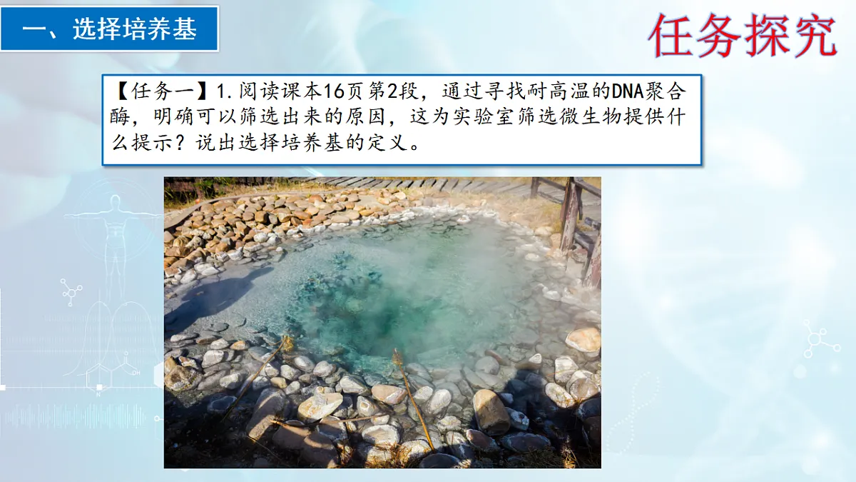 17767807第4页