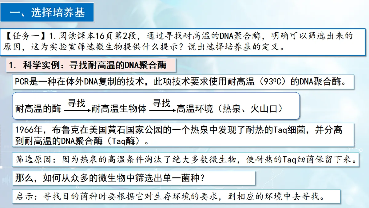 17767807第5页
