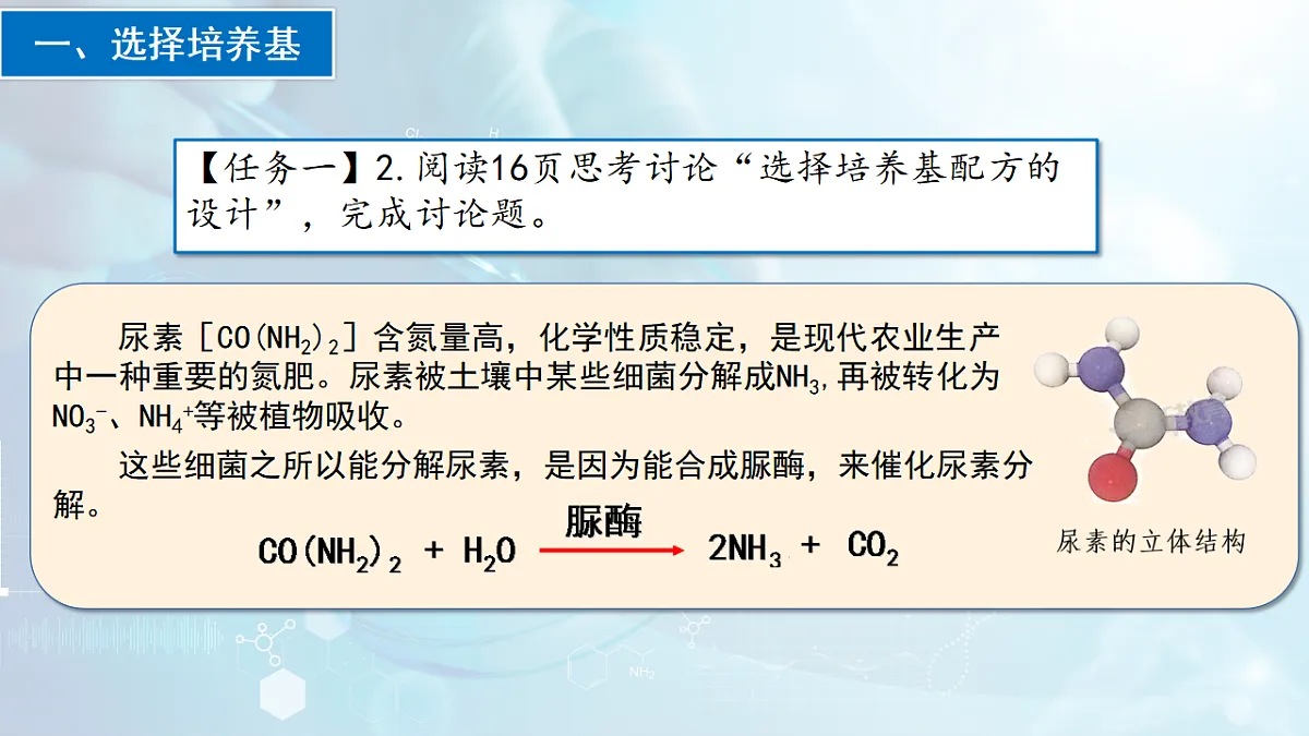 17767807第8页