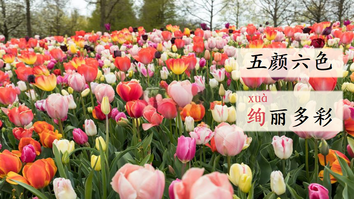 【教学课件】阅读3.《开满鲜花的小路》(第二课时)第8页