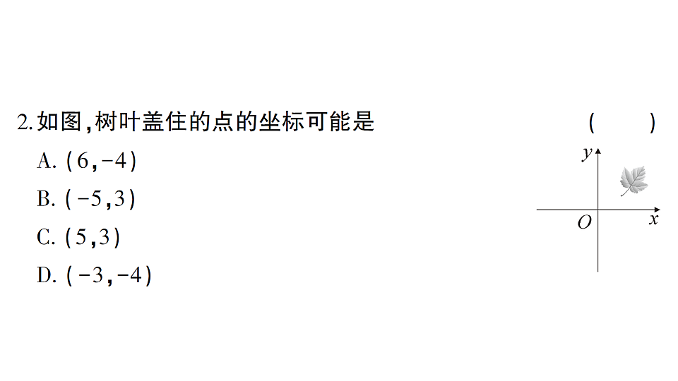 17767966第3页