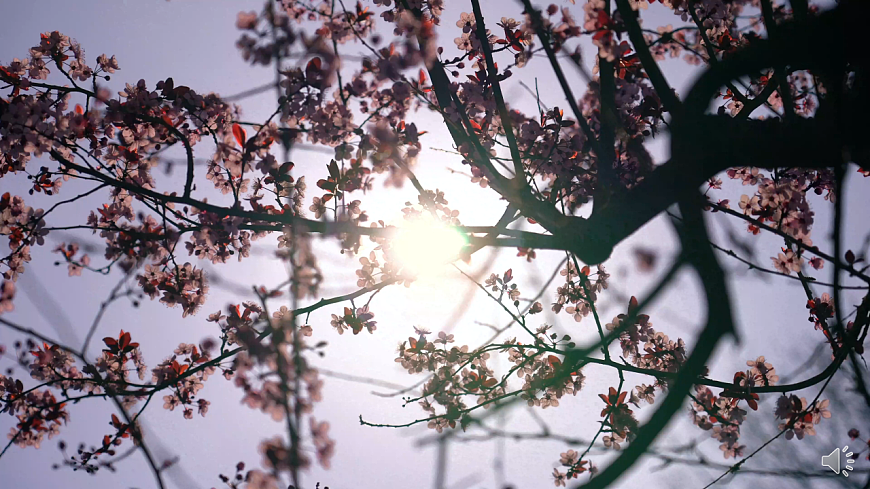 【教学课件】阅读1.《古诗二首》(第一课时)第3页