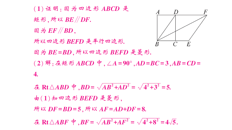 17767979第3页