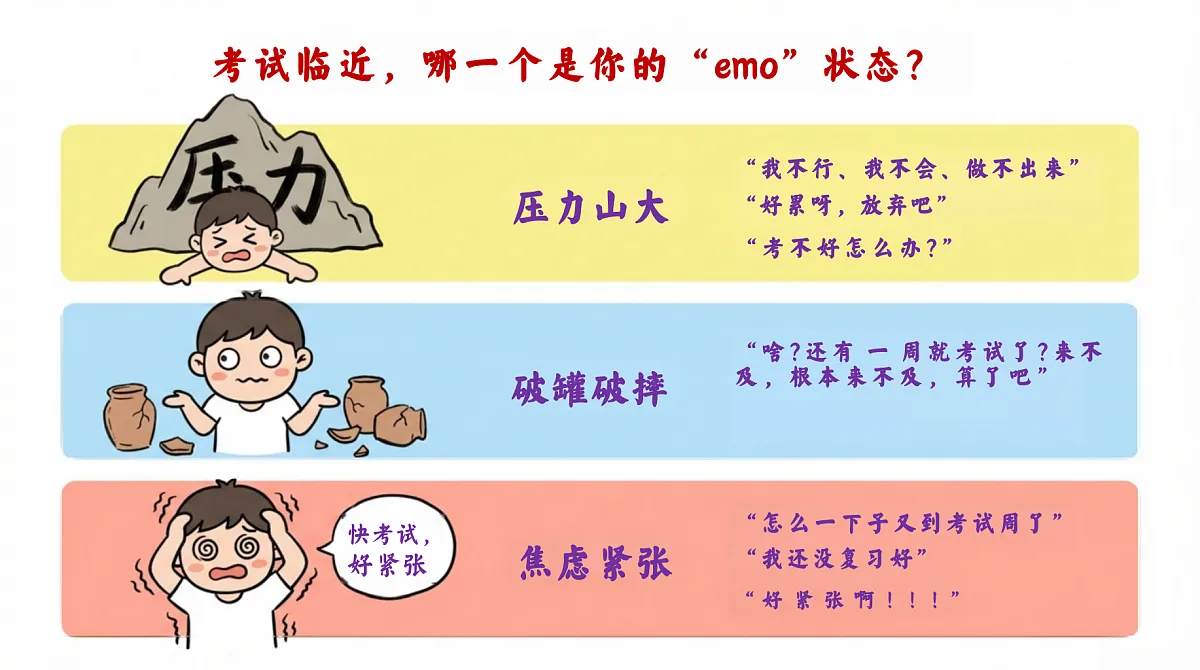17768524第3页