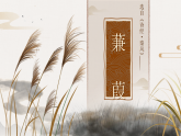 部编版初中语文八年级下册  第12课《诗经两首——蒹葭》课件+教案
