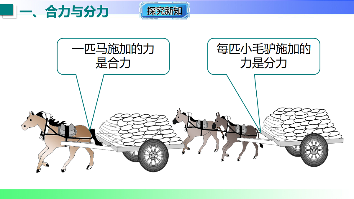 17769120第8页