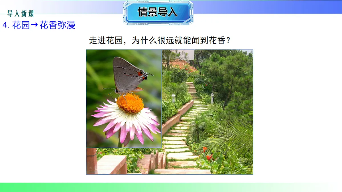 17769129第6页