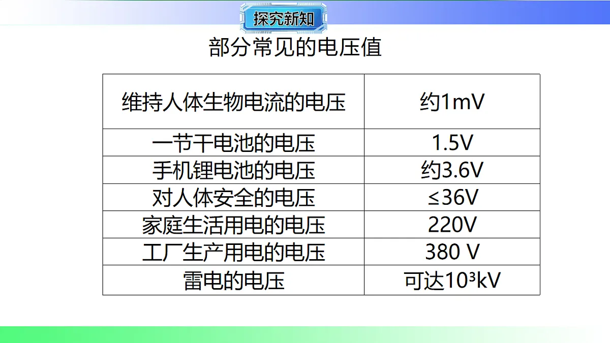 17769155第8页