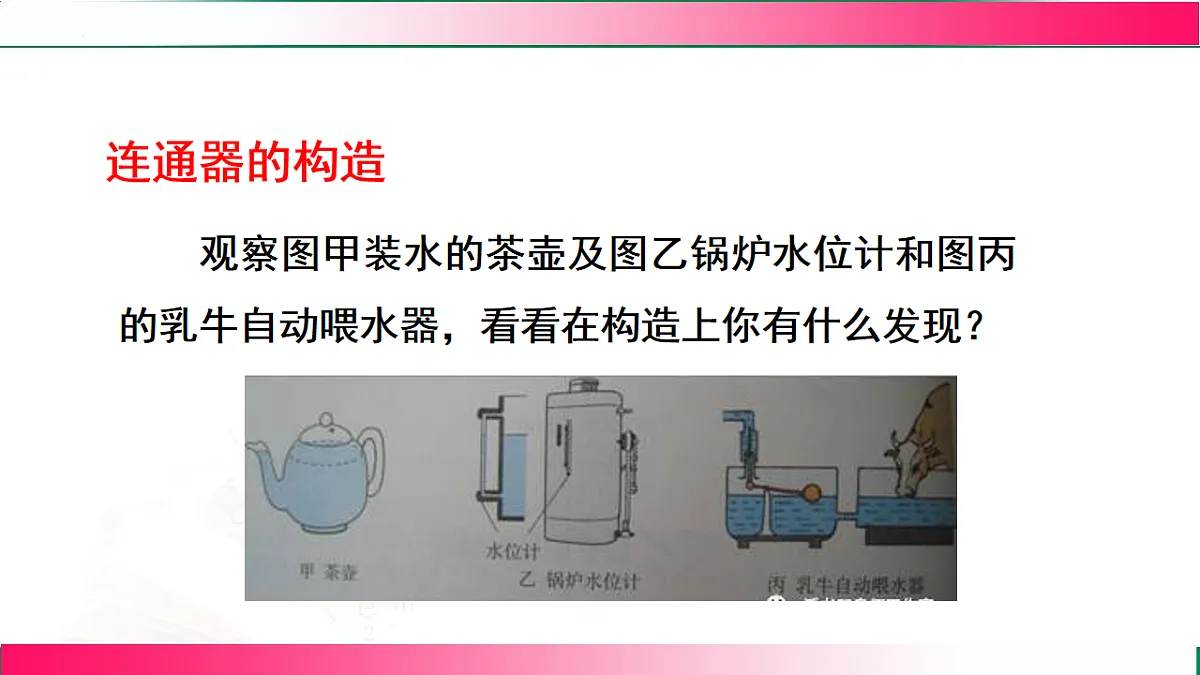 17769222第7页