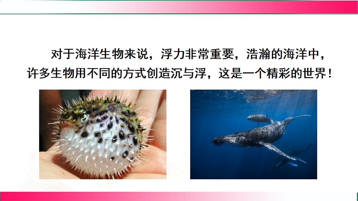 17769229第8页