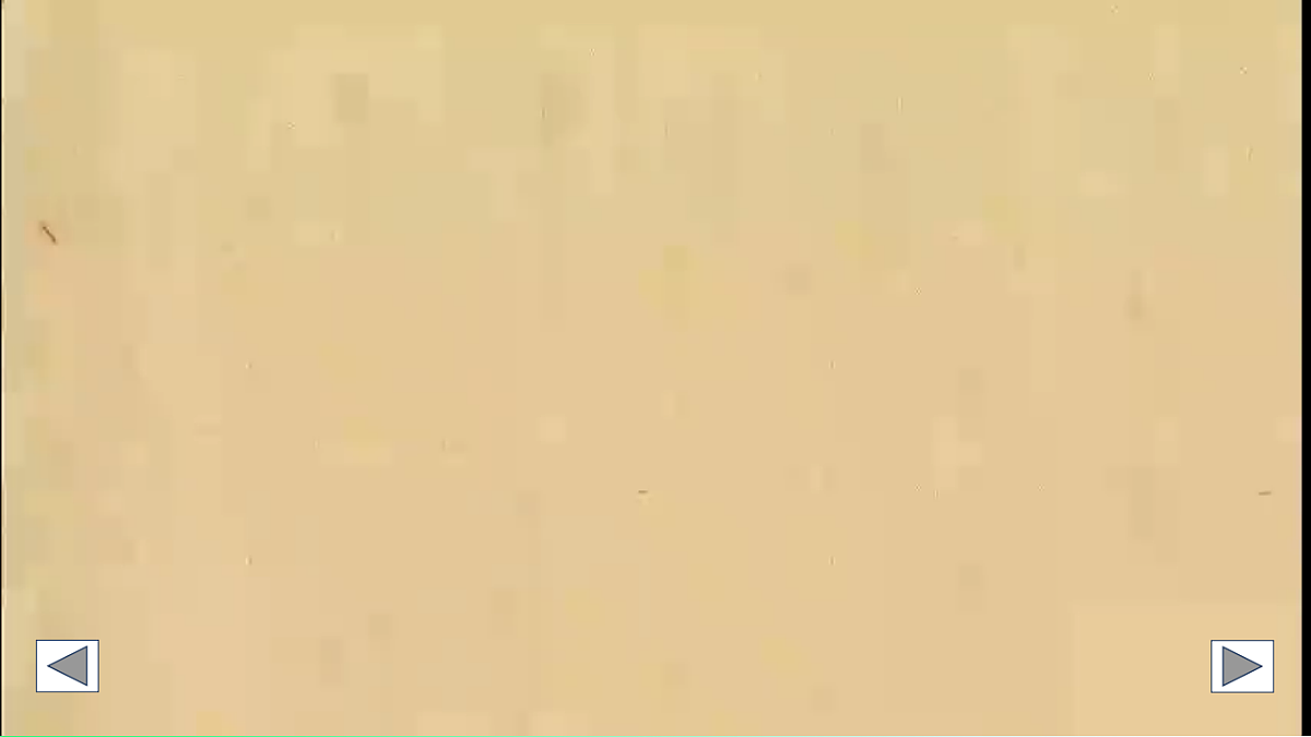 17769261第6页