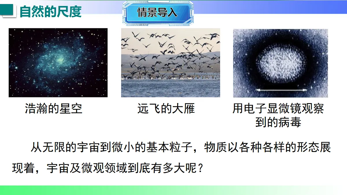 17769266第3页