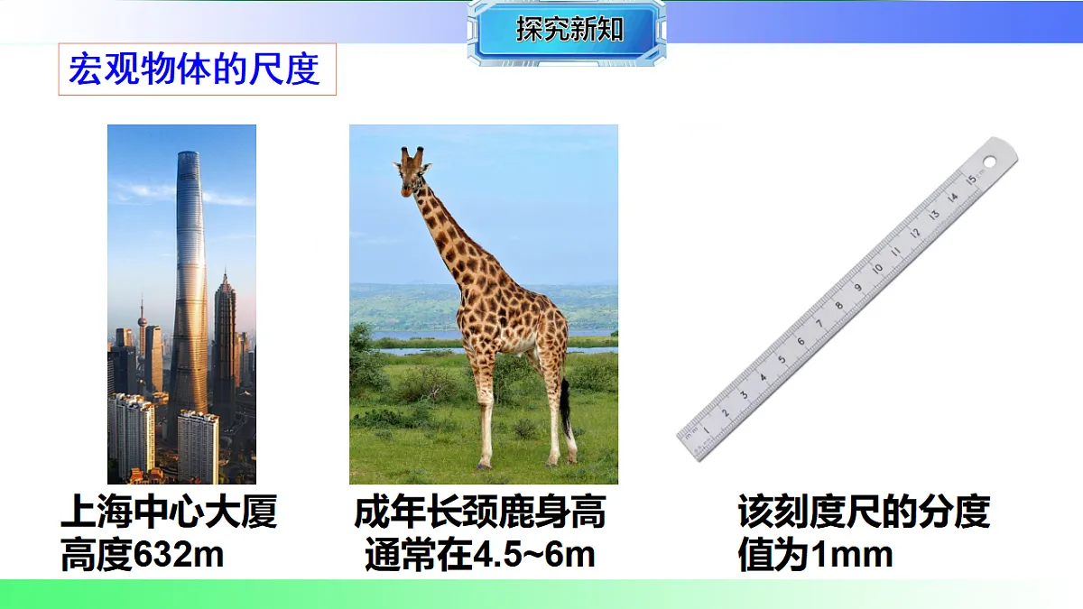 17769266第8页