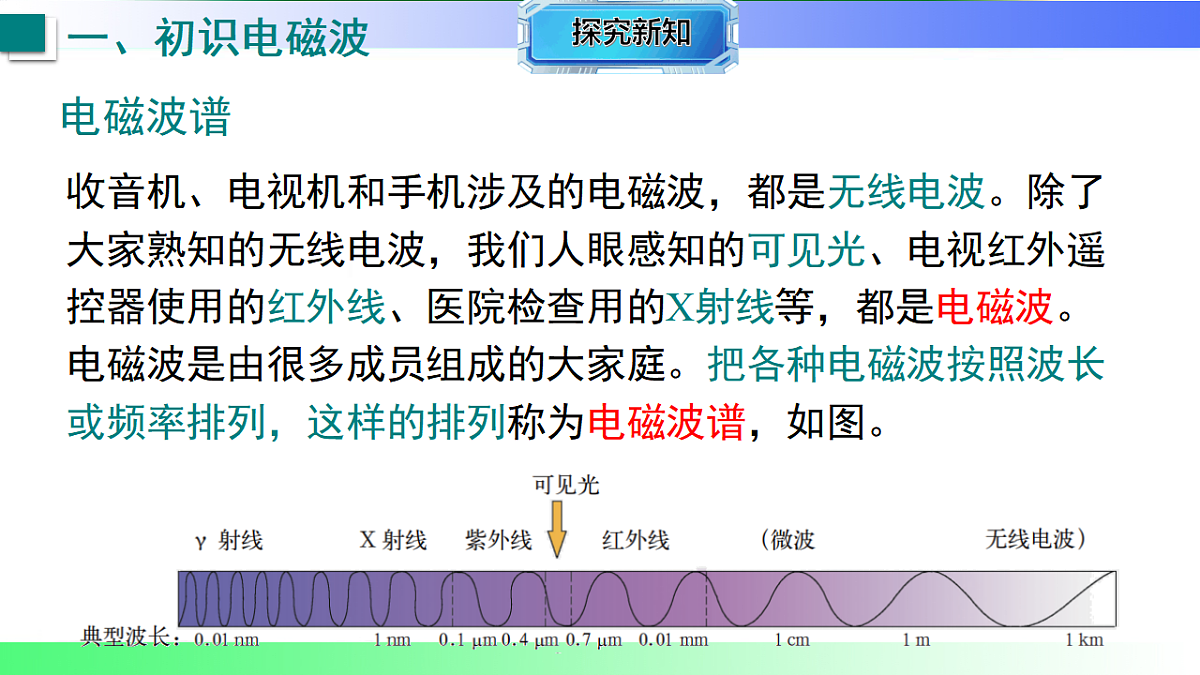 17769306第7页