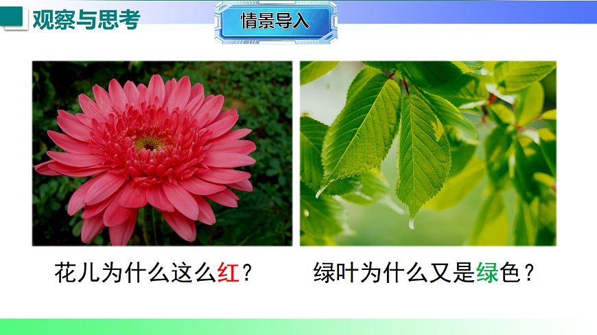 17769322第3页