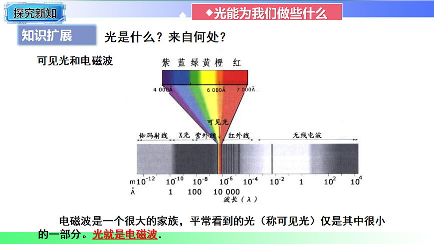 17769322第5页