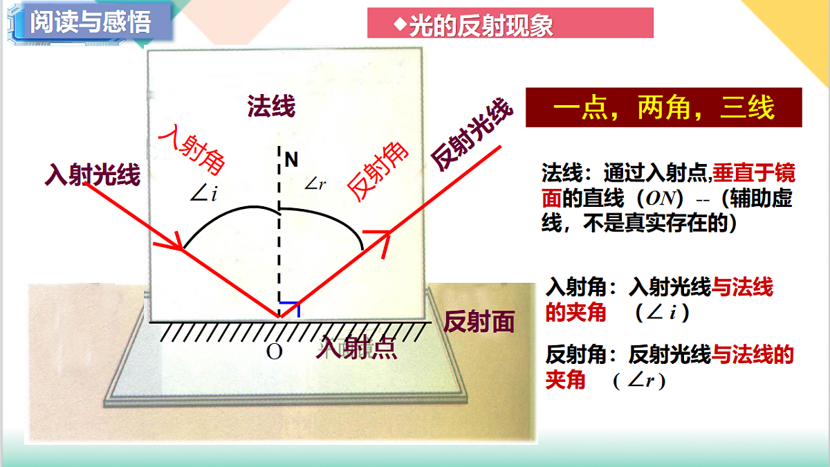 17769323第5页