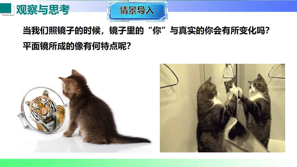 17769324第5页