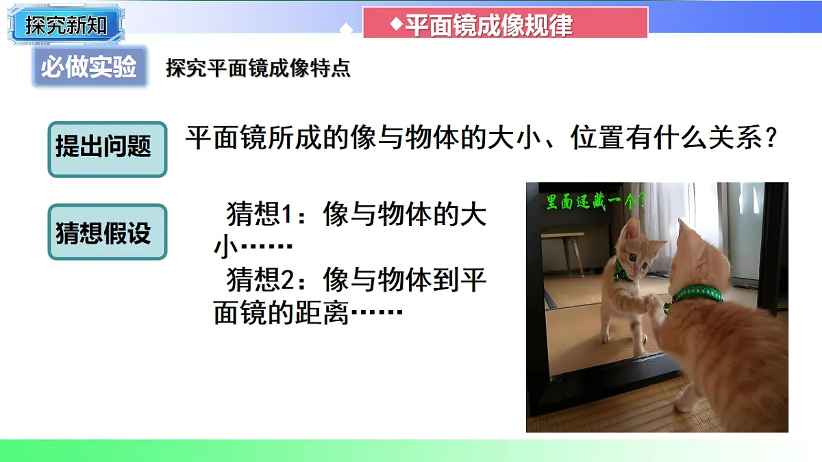 17769324第8页