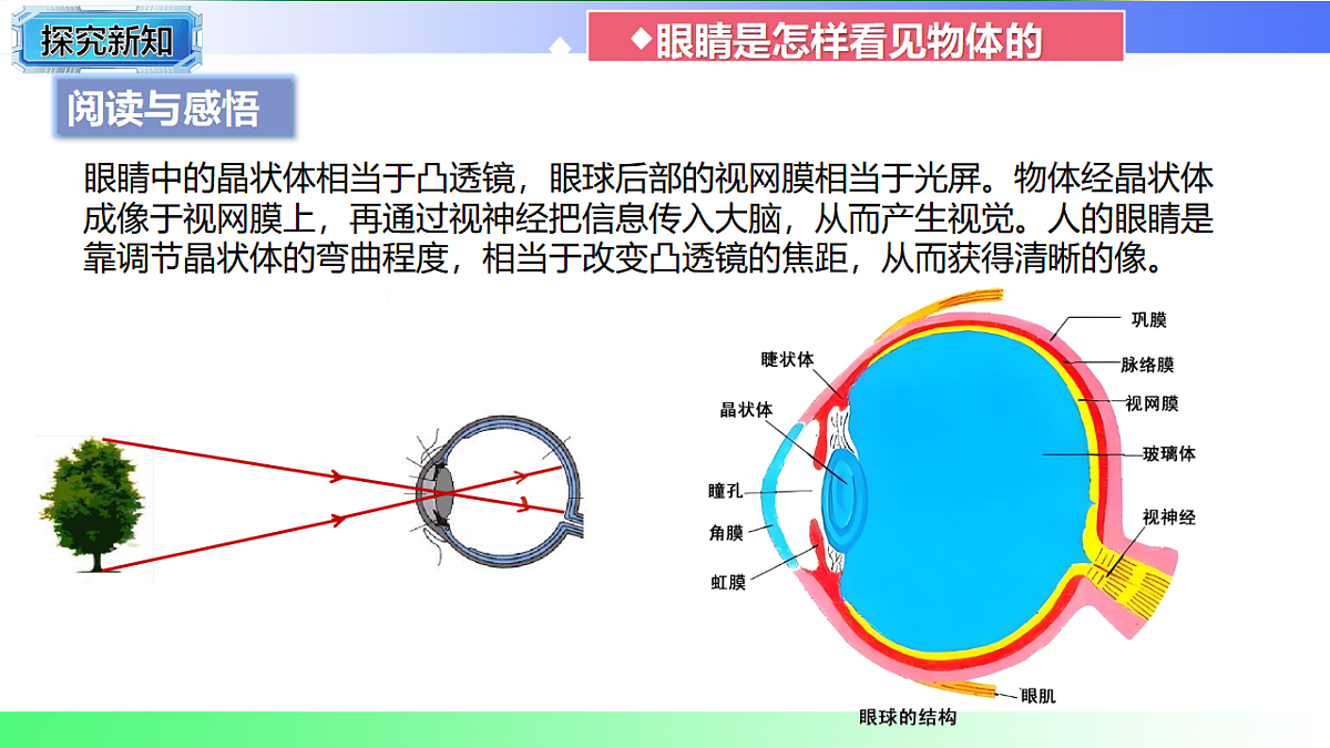 17769328第3页