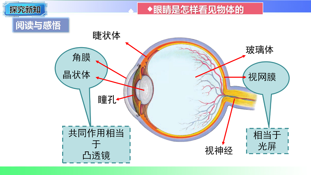 17769328第4页