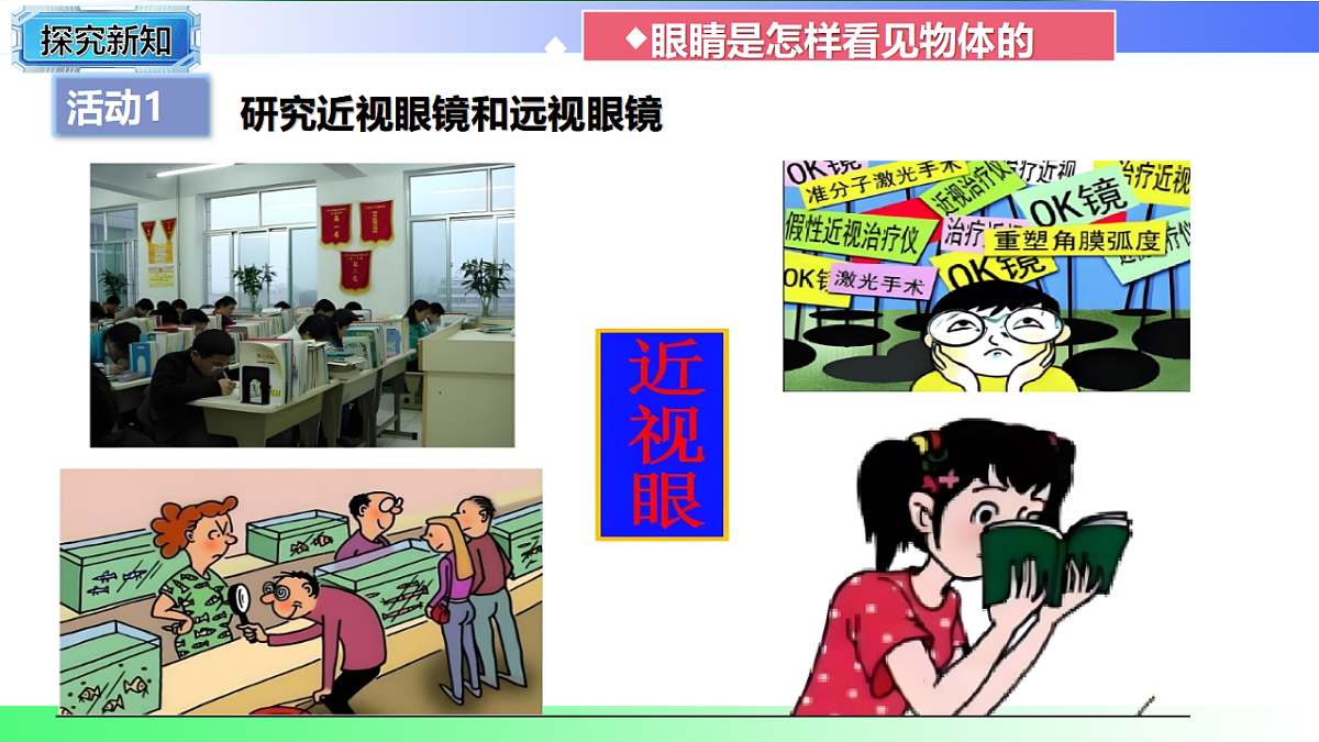 17769328第5页