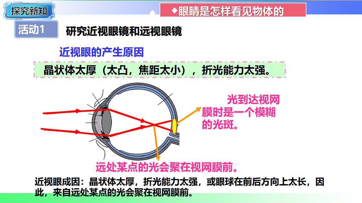 17769328第6页