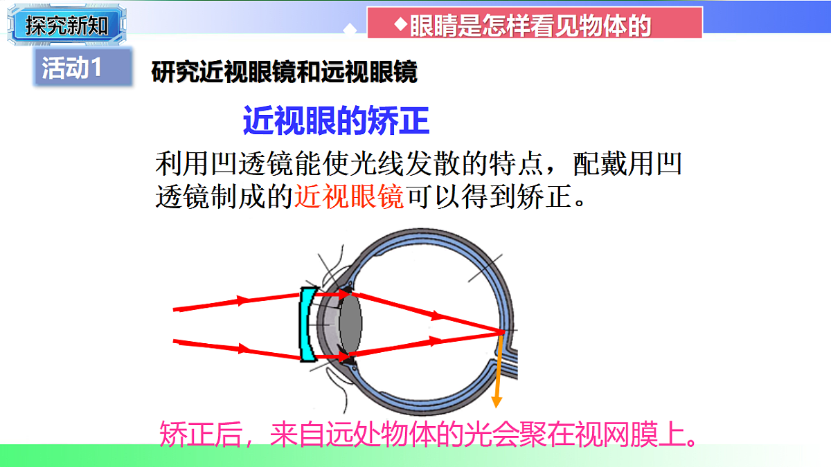 17769328第7页