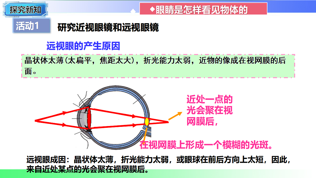 17769328第8页