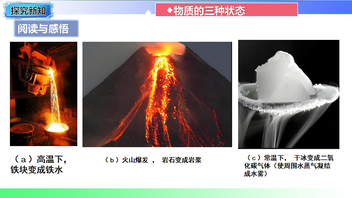 17769331第5页