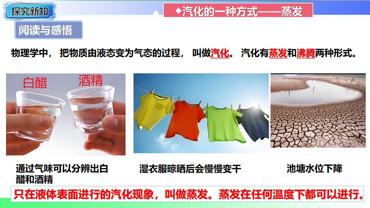 17769331第6页