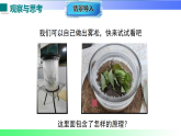 4.4 升华和凝华（课件）2025-2026学年八年级物理上册沪粤版（2024）