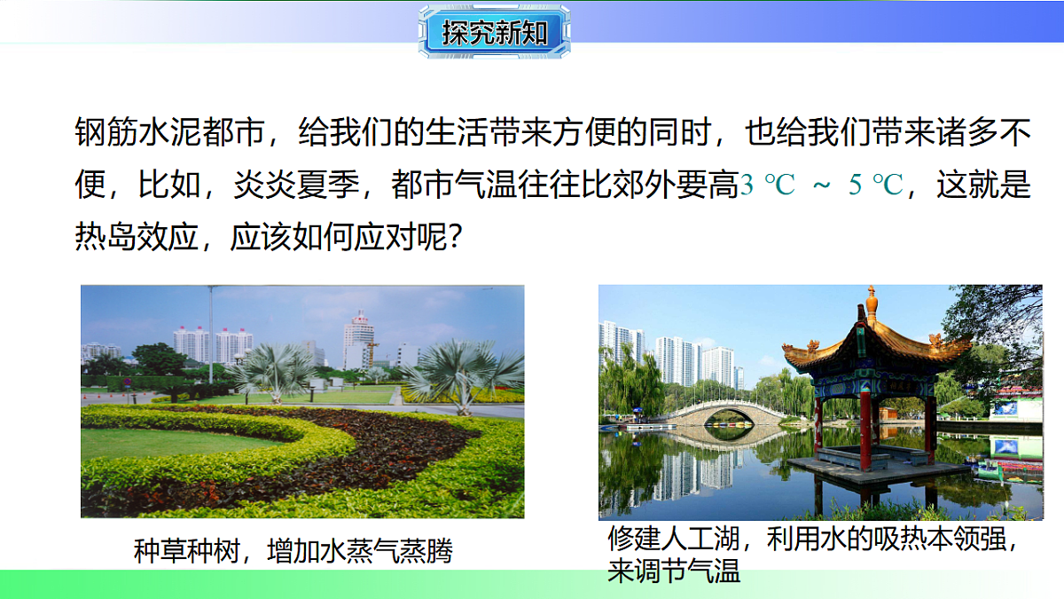 17769369第5页