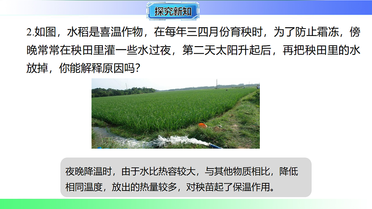 17769369第7页