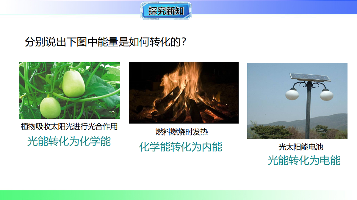 17769372第7页