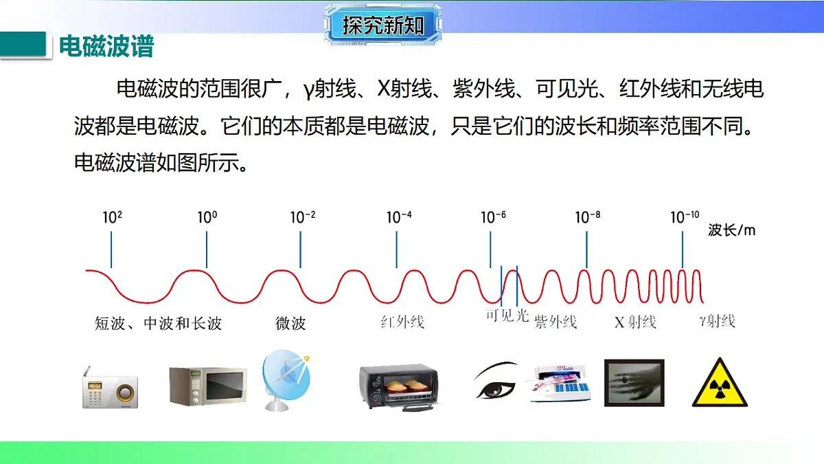 17769398第8页