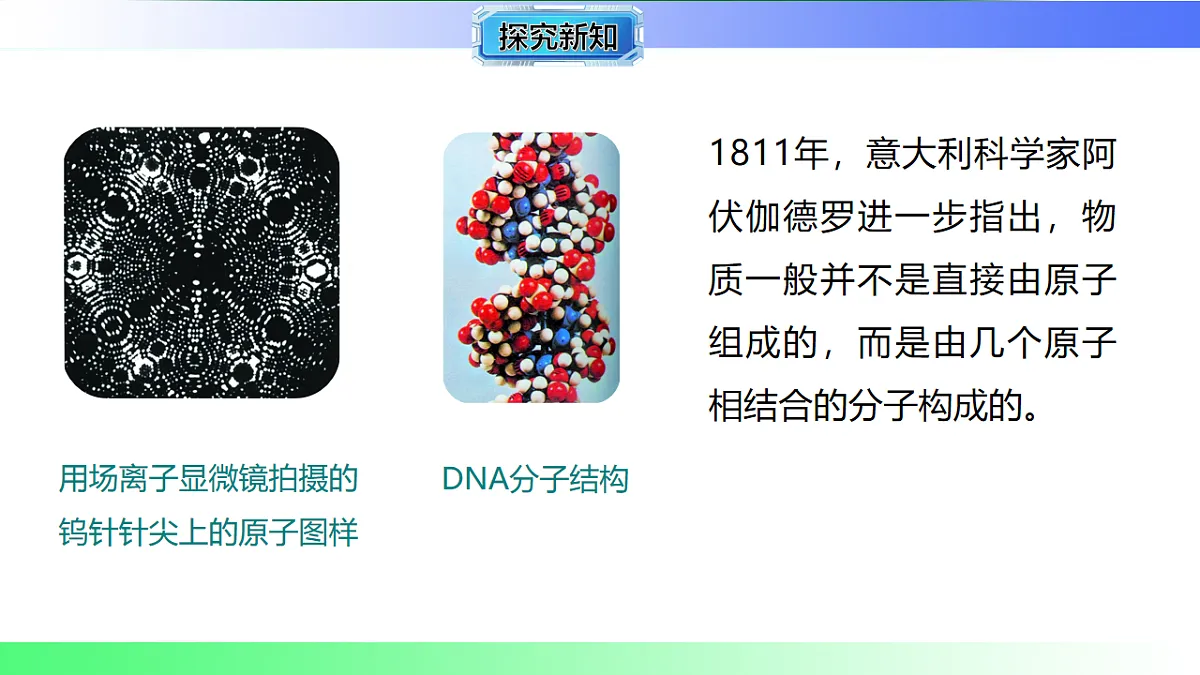 17769402第6页