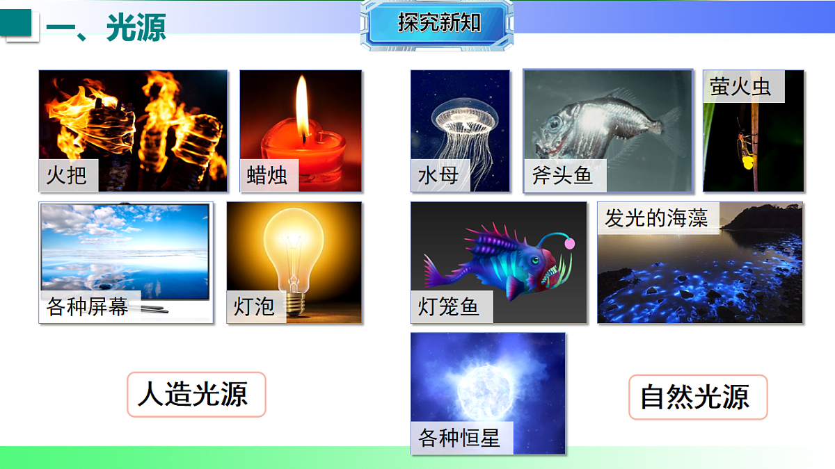 17769414第5页