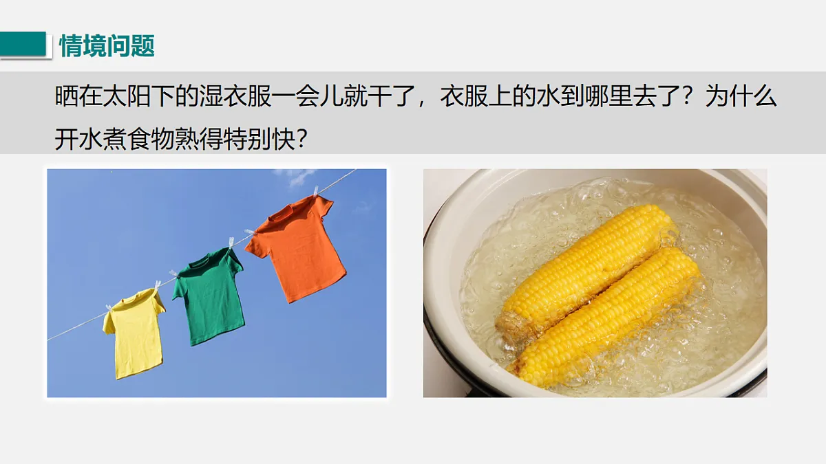 17769532第3页
